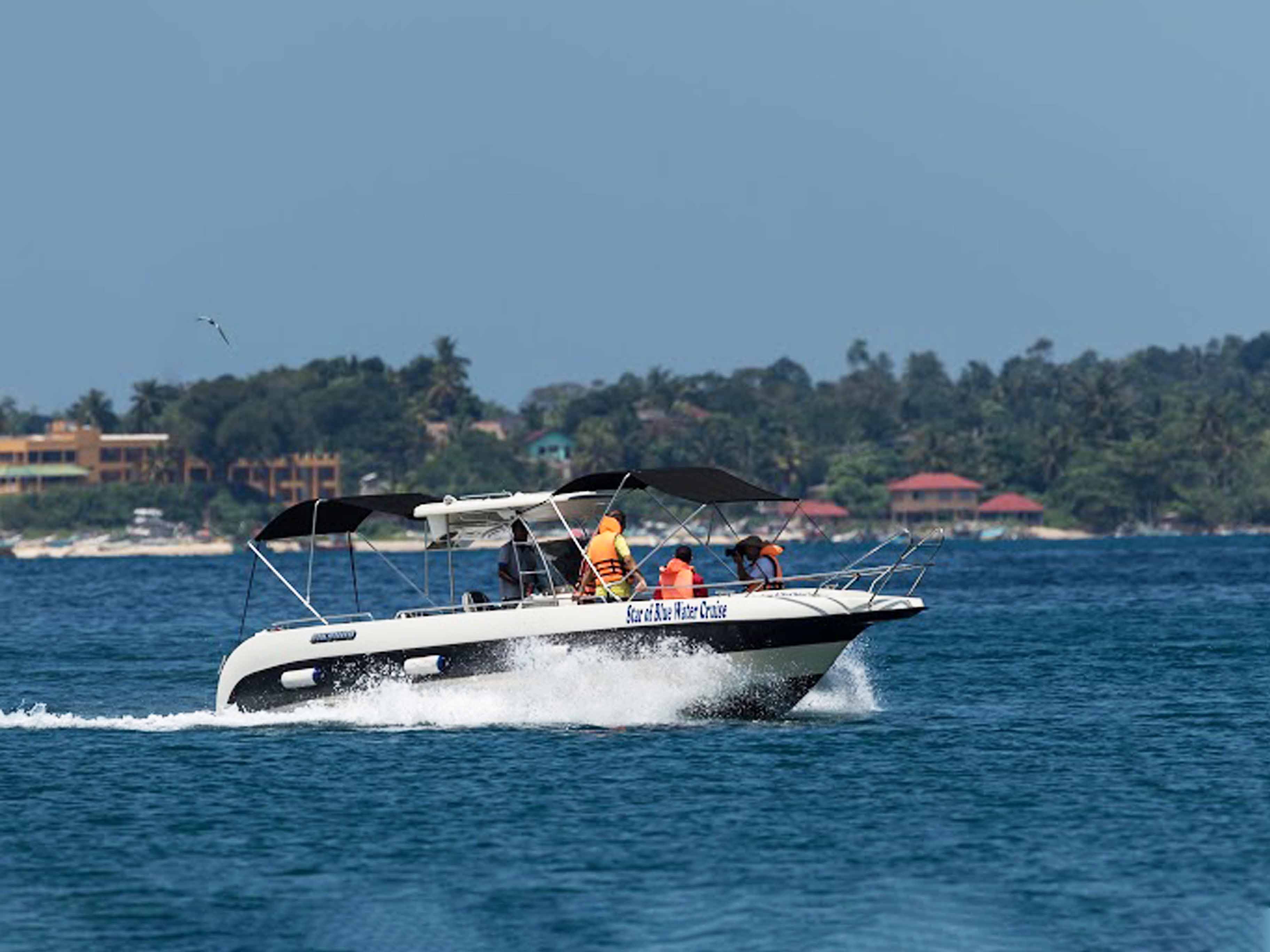 Boat Tours