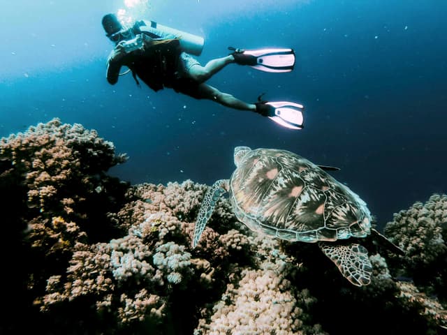 Mirissa-Diving-Activities-Center