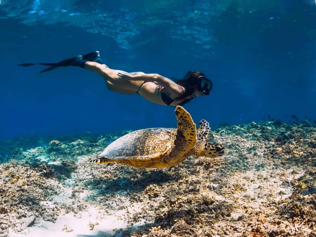 Mirissa-Diving-Activities-Center